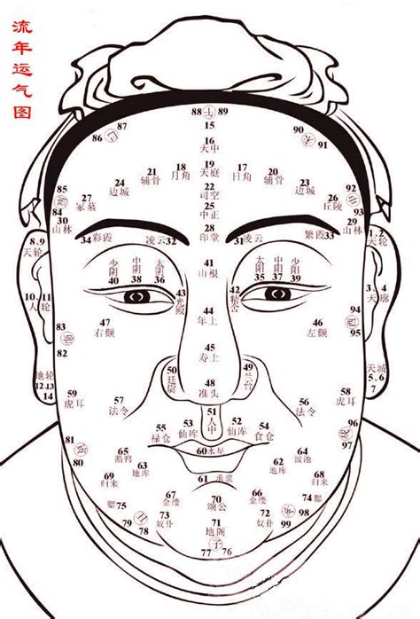 流年面相年齡|1到100岁，面相流年气运图教你如何看自己的面相